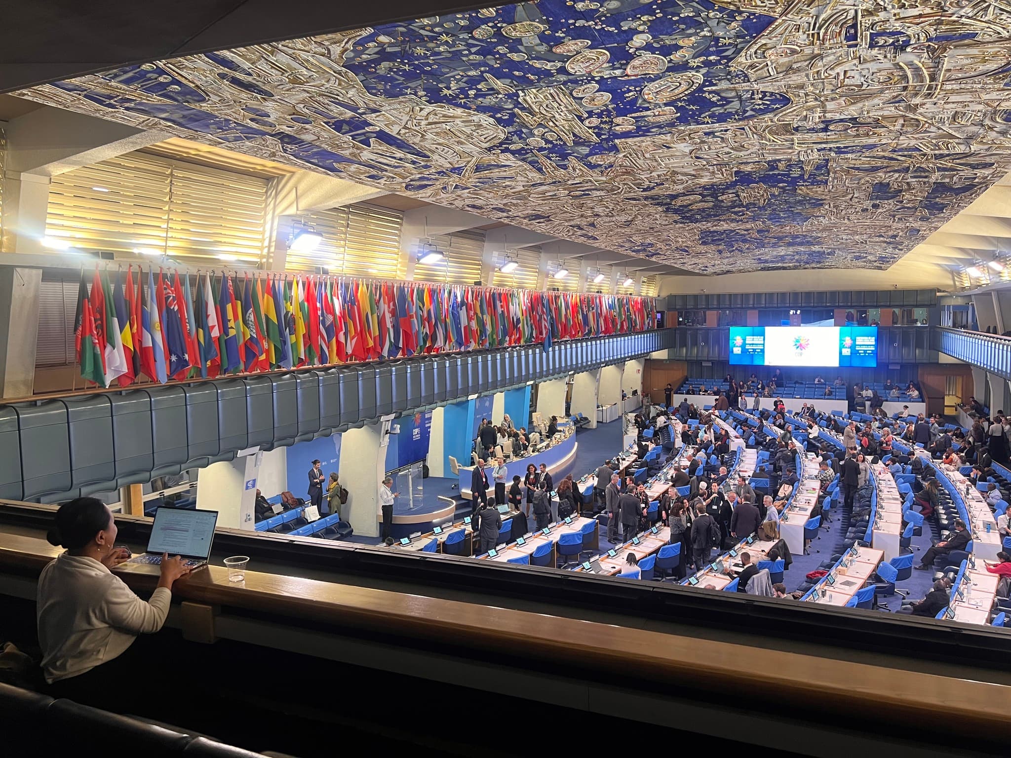 Photo Credit: Alice Mathew for IIFB. Rome, February 2025.