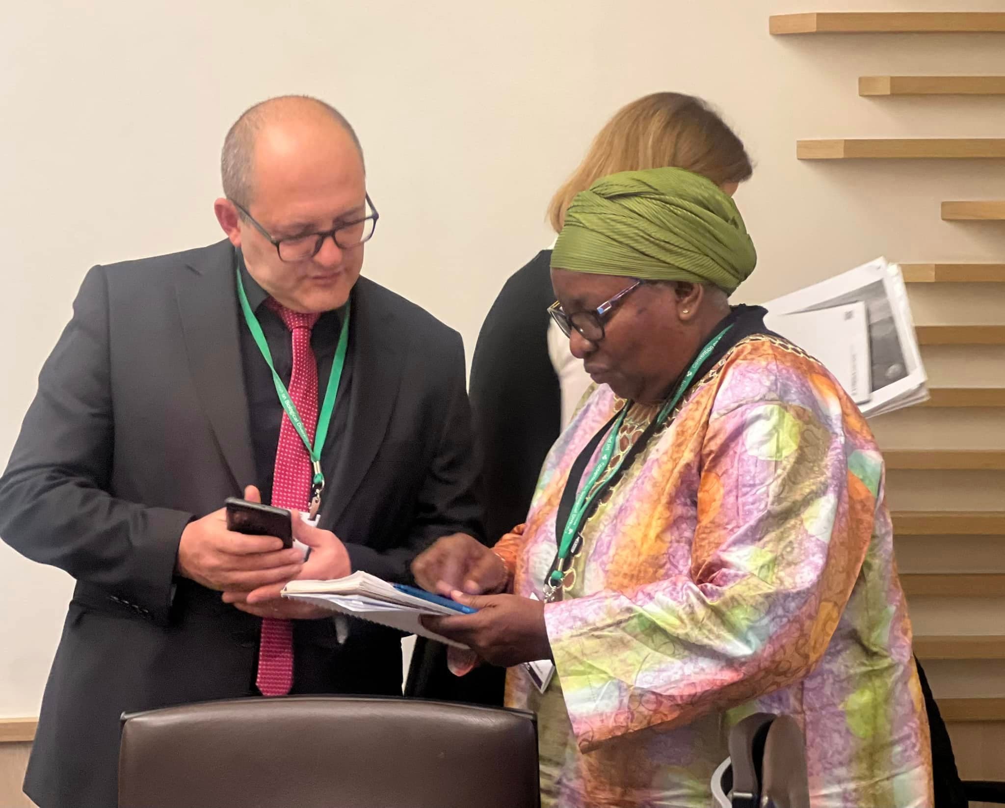 Photo Credit: Alice Mathew for IIFB. Rome, February 2025.