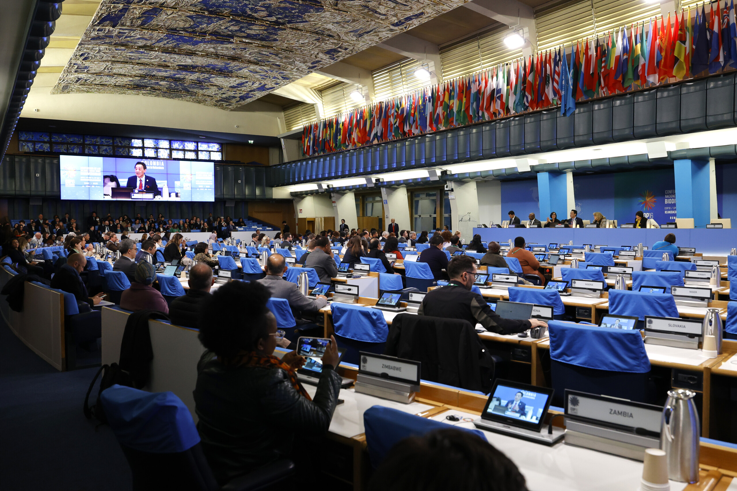24 February 2025, Rome, Italy. FAO Director-General QU delivers his address during the CBD COP16.2 “Meeting people’s needs through sustainable use of biodiversity within agrifood systems” event. FAO Headquarters, (Plenary Hall). Photo credit must be given: ©FAO/Pier Paolo Cito