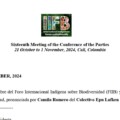 IIFB Statement on Item L.6 at  COP16