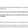 IIFB Statement on Agenda Item 5 at SBSTTA-24