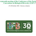 Declaración del IIFB sobre el punto 10a en la COP17