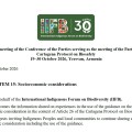 Declaración del IIFB sobre el punto 15 en la COP17