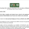 Declaración del IIFB sobre el punto 18f en la COP17