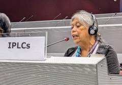 Statement on behalf of the International Indigenous Forum on Biodiversity (IIFB) delivered by Joji Carino